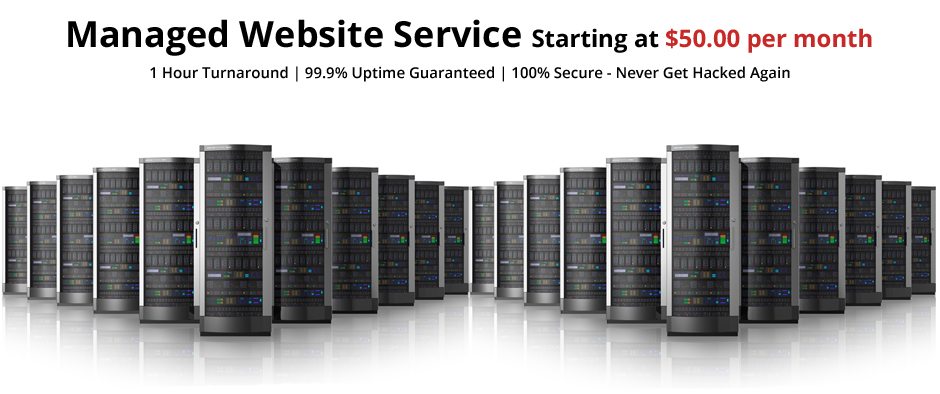 Website Hosting and Maintenance